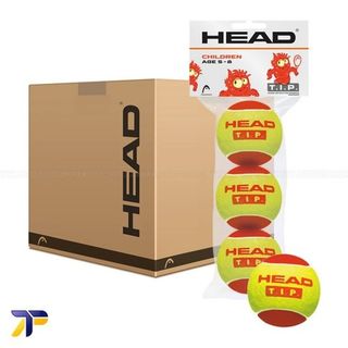 Head TIP Red 72 Tennis Ball Carton